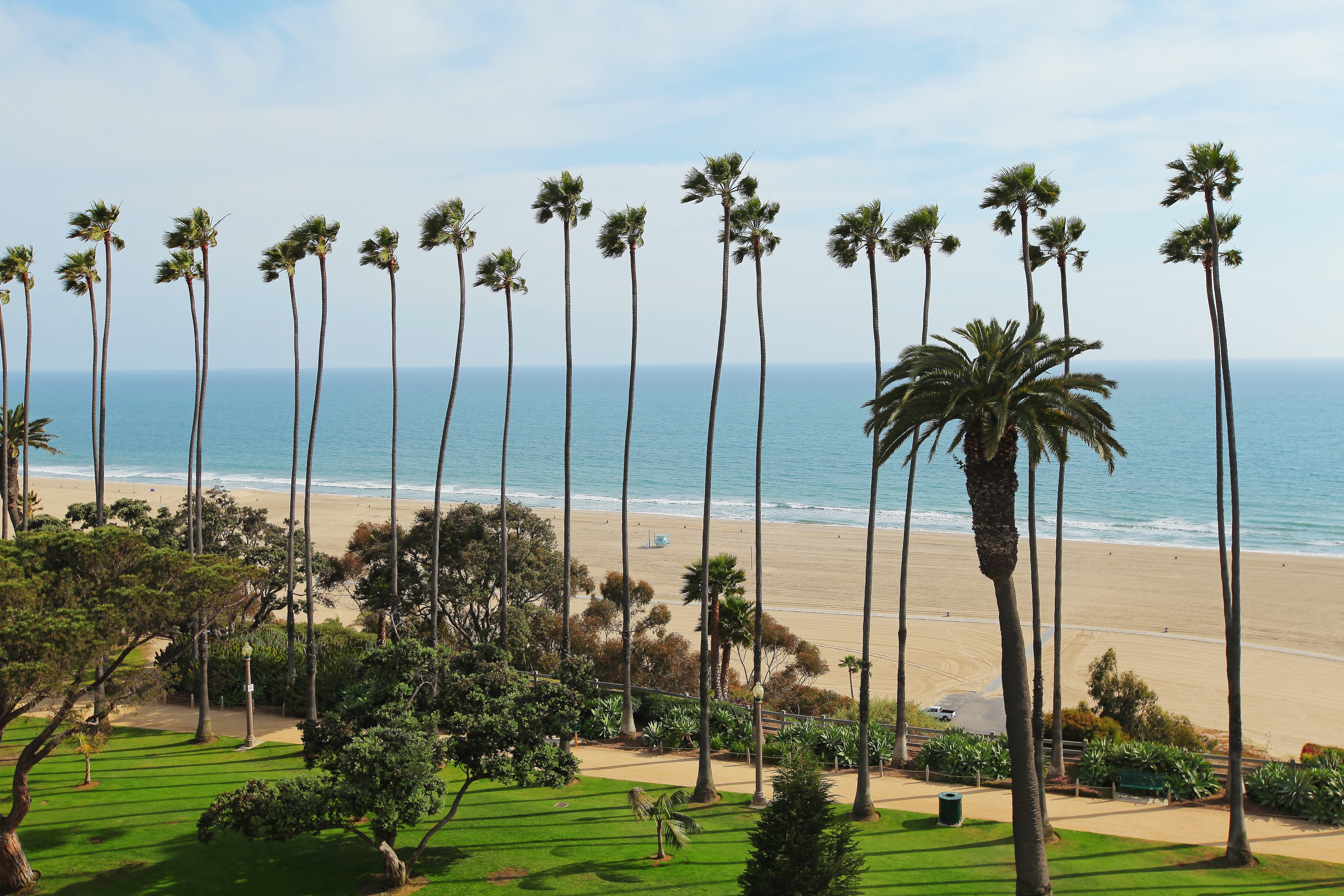 515 Ocean Avenue #702N