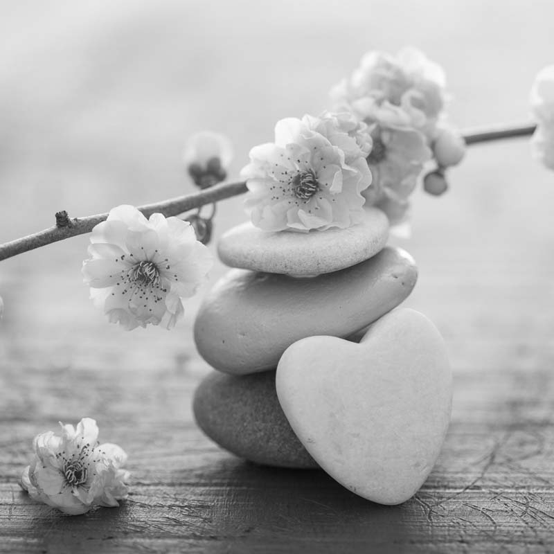 Beverly Hills Luxury Real Estate